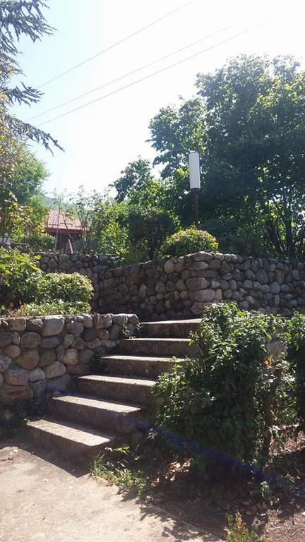 Vila Popovski Ljubanista Экстерьер фото